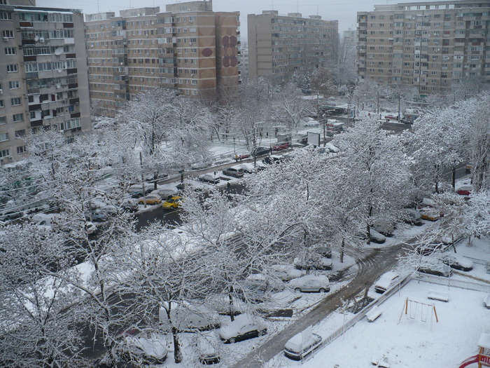 P1320219 - Y -Iarna in Bucuresti 2010 dec 28