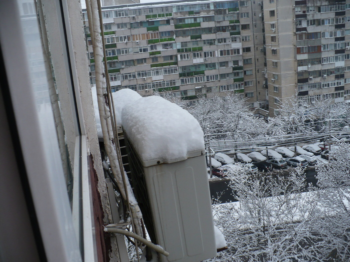 P1320220 - Y -Iarna in Bucuresti 2010 dec 28