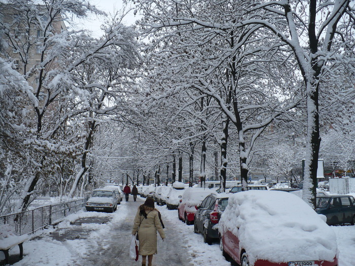 P1320231 - Y -Iarna in Bucuresti 2010 dec 28