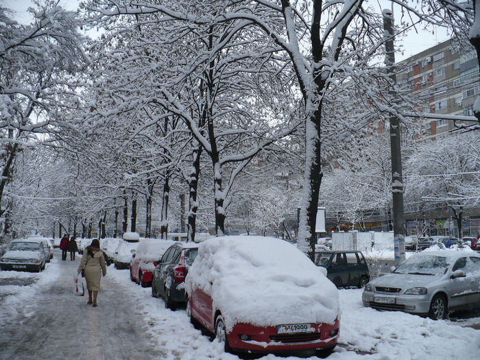 P1320232 - Y -Iarna in Bucuresti 2010 dec 28