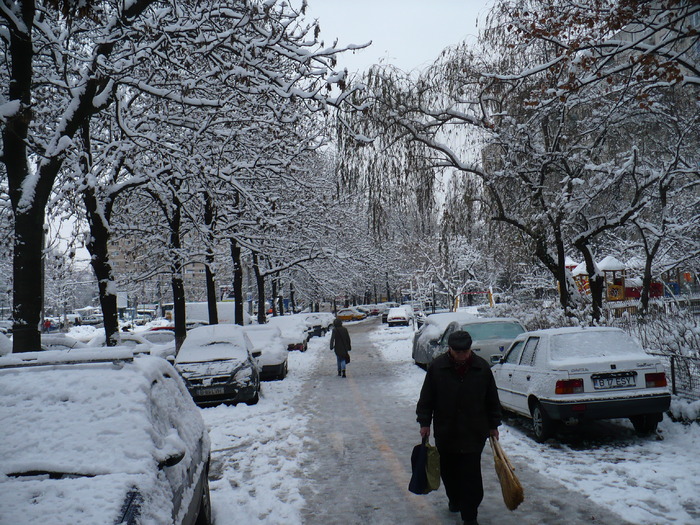 P1320234 - Y -Iarna in Bucuresti 2010 dec 28