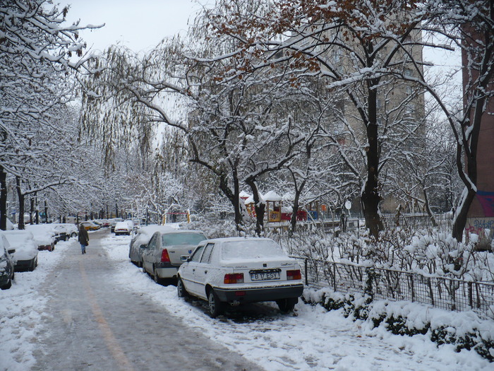 P1320235 - Y -Iarna in Bucuresti 2010 dec 28