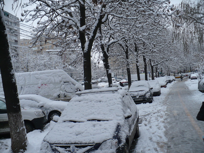 P1320237 - Y -Iarna in Bucuresti 2010 dec 28