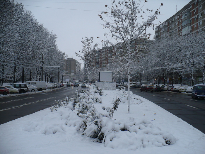 P1320245 - Y -Iarna in Bucuresti 2010 dec 28