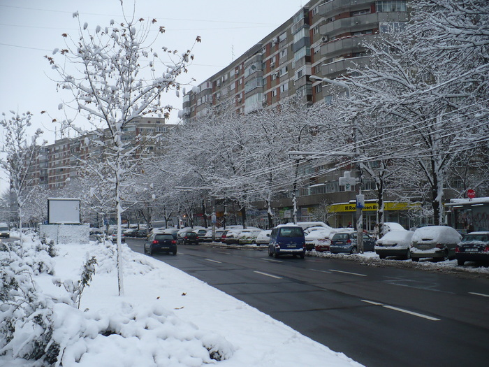 P1320248 - Y -Iarna in Bucuresti 2010 dec 28