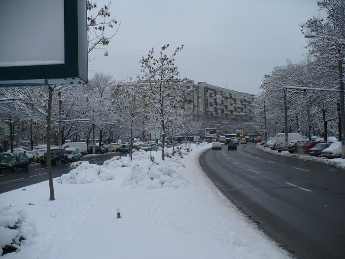 P1320249 - Y -Iarna in Bucuresti 2010 dec 28