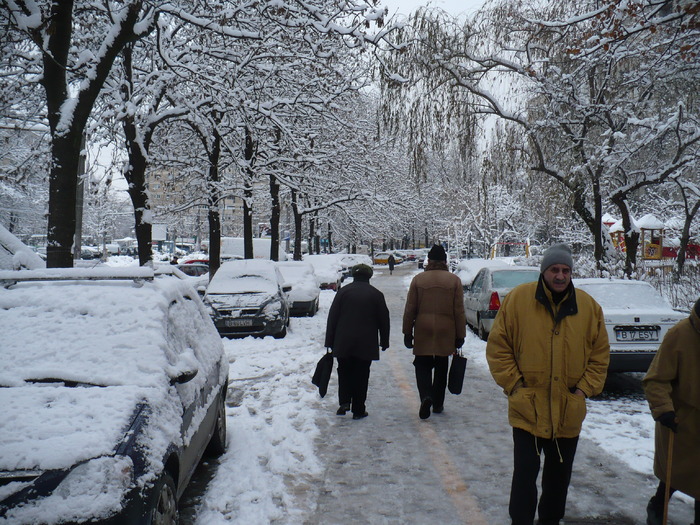 P1320250 - Y -Iarna in Bucuresti 2010 dec 28