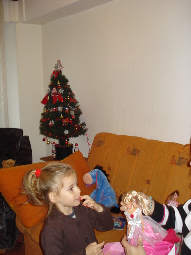 AM UNGHII ROSII,CA DE CRACIUN:)