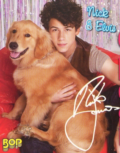 Nick (48) - Nick Jonas