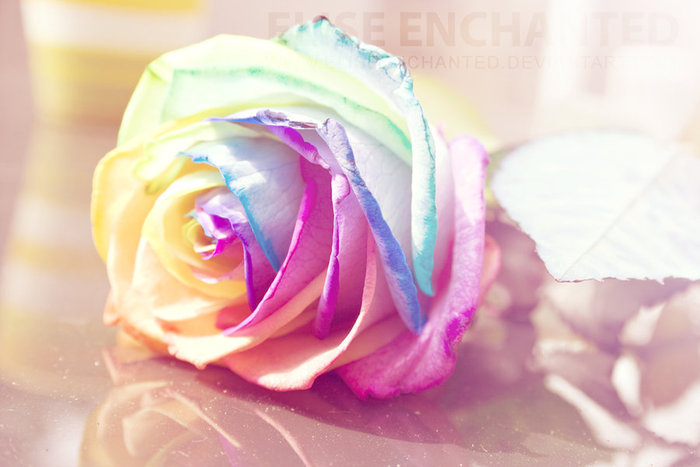 rainbow_rose_by_eliseenchanted-d34e8bu - Roses