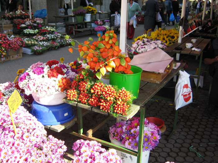 Zagreb - piata de flori - Croatia