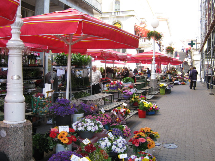 PicZagreb - piata de flori - Croatia