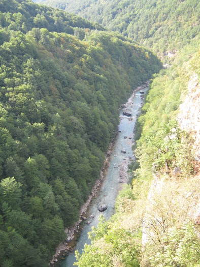 Canionul Tara - Muntenegru