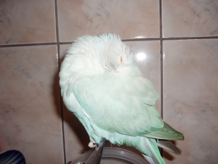 P1030096