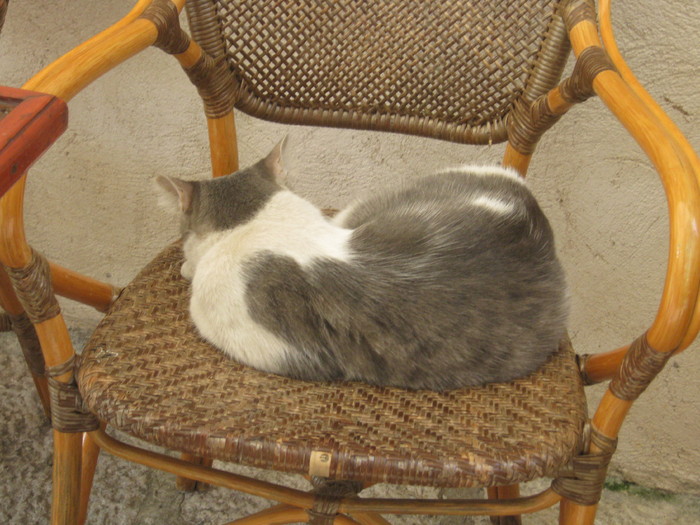 Siesta la Dubrovnik
