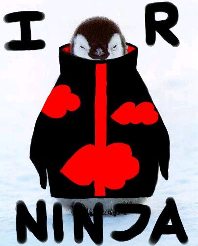 Akatsuki_Penguin_by_sevensatans_belial - 00 funny00