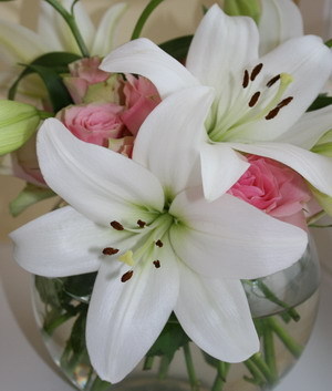 Flowers (34)