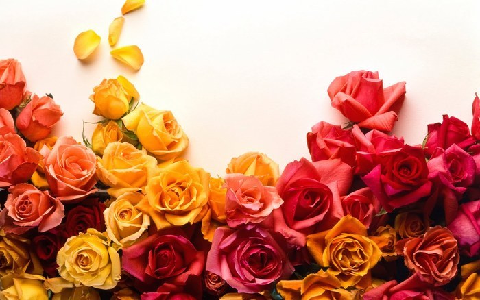 Flowers (55)