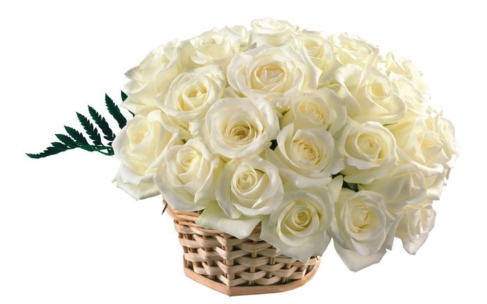 Flowers (59)