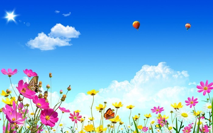 Flowers (60)