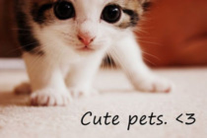 mariastancu09(ocupat)