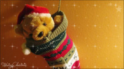 .....ursuletz...cRaCiUnEL