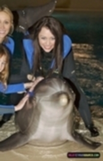 Dolphin Trainer for a Day Program at the Siegfried and Roy Secret Garden - Dolphin Trainer for a Day Program at the Siegfried and Roy Secret Garden