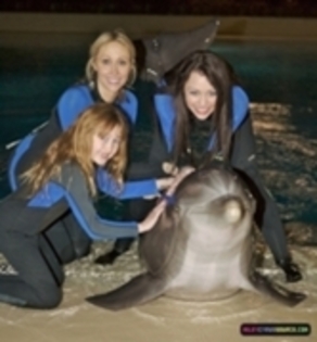 Dolphin Trainer for a Day Program at the Siegfried and Roy Secret Garden (2)