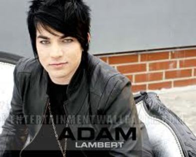 images (13) - Adam Lambert