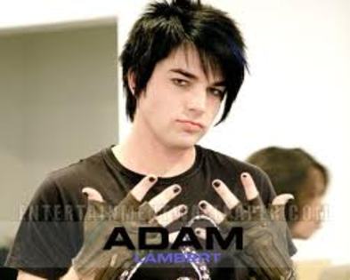 images (14) - Adam Lambert