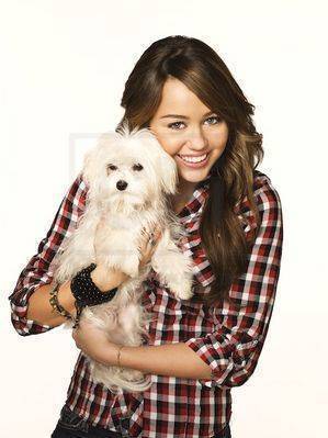 16137216_CCOHMRPTU - sedinta foto miley cyrus 1