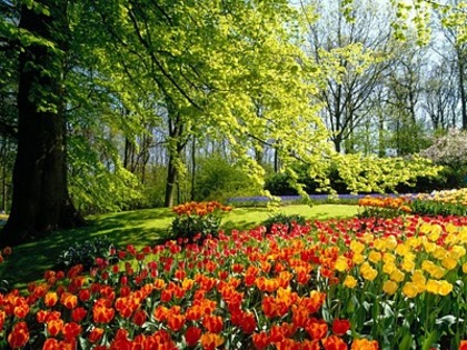 Spring_Park_1280_x_960[1] - peisaje foarte frumoase