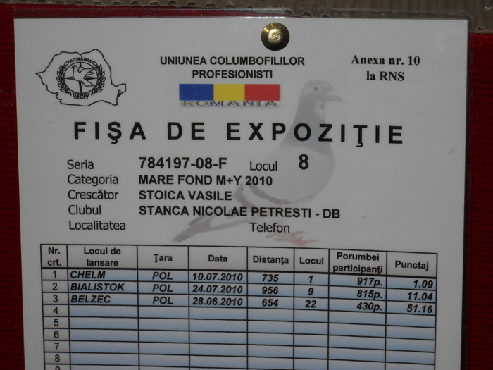 Fisa "Lady Gaga"