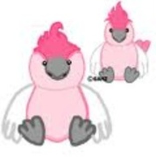 GQVXQBFUKZREOCFUGFG - webkinz