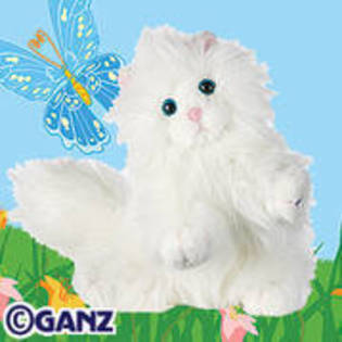 WCVGYUSRASTXYBEIUUF - webkinz