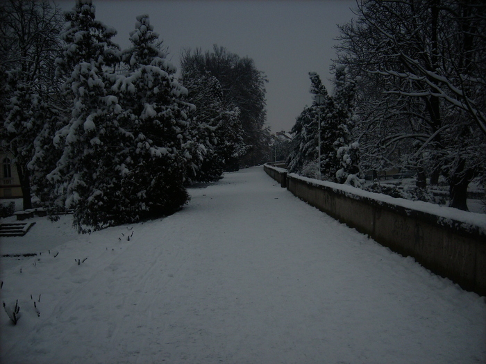 DSCI0052 - Locuri de prin Arad