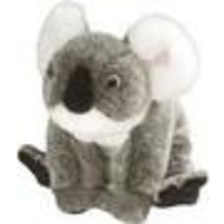 Plus koala pui 30cm - animale de plus