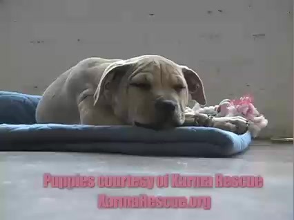 Miley Cyrus & Emily Osment - TEEN Magazine Photo Shoot 168