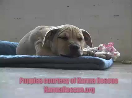 Miley Cyrus & Emily Osment - TEEN Magazine Photo Shoot 171