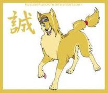 imagesCAQTKY8E - anime animals naruto 000xx super