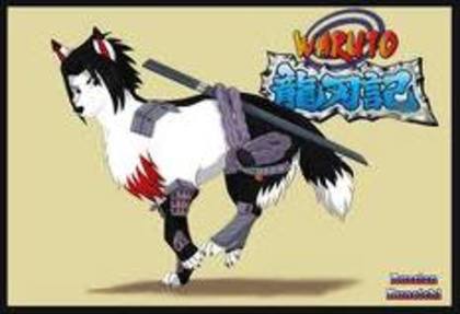 imagesCAQFHXYV - anime animals naruto 000xx super