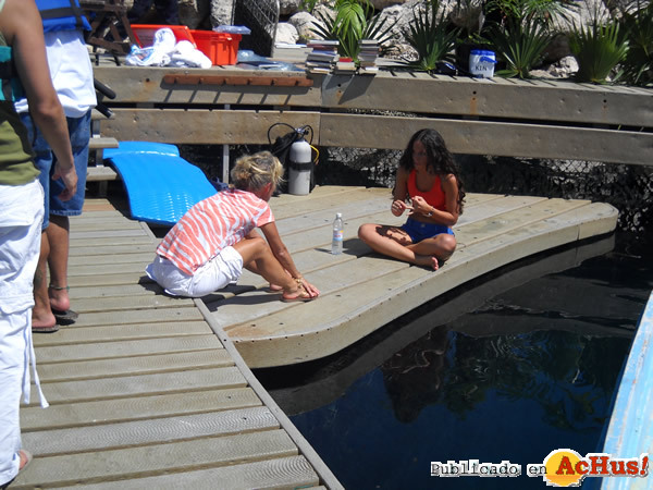 Zuria-Vega-20022010-28