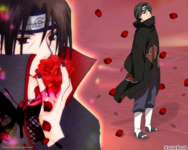 Itachi-Red-Petals-1