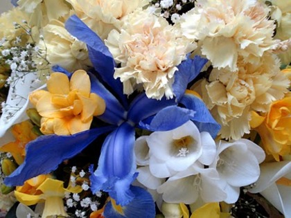 wedding-flowers - Imagini Cu Flori Colorate