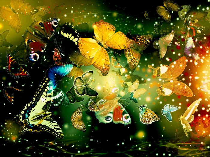 Butterflies_ (19) - Poze Cu Fluturi