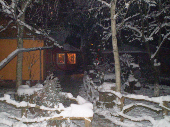 PC290256 - curtea locul de munca