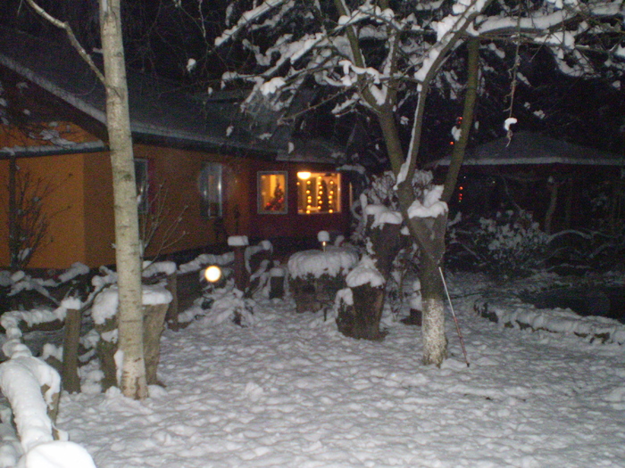 trecera dintre ani 2010-2011