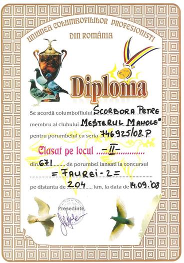 Picture 002 - Diplome