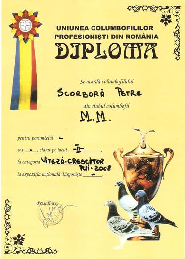 Picture 005 - Diplome