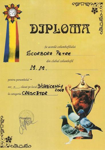 Picture 006 - Diplome